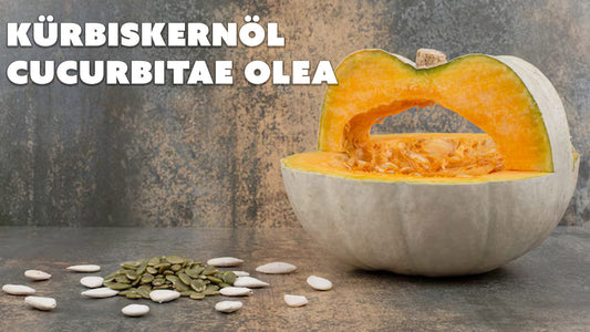 Kürbiskernöl – Der dunkle Gesundheitsheld für Prostata, Herz & Gourmet-Küche