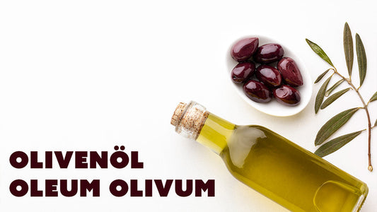 Olivenöl – Das flüssige Gold der mediterranen Küche für Gesundheit & Langlebigkeit