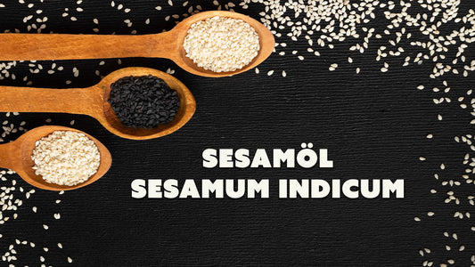 Sesamöl – Das antioxidative Wunderöl aus der ayurvedischen Tradition