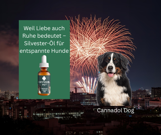 Silvester mit Haustieren: Warum Cannadol Pet die natürliche Lösung für ängstliche Tiere ist