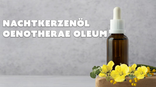 Nachtkerzenöl – Das sanfte Hormonwunder für Frauengesundheit & Haut