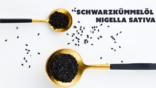 Schwarzkümmelöl – Das unterschätzte Superfood für Gesundheit & Schönheit