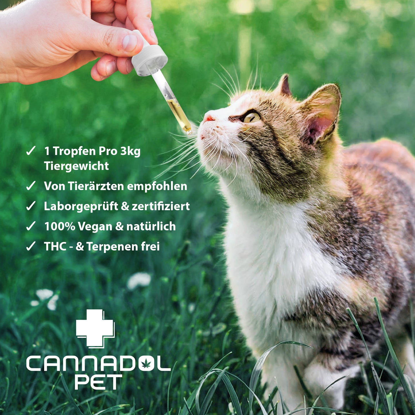 Cannadol Katze - Premium Naturöl 10%