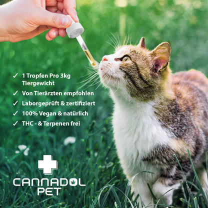Cannadol Katze - Premium Naturöl 10%