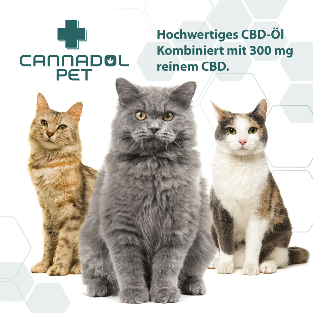 Cannadol Katze - Premium Naturöl 10%