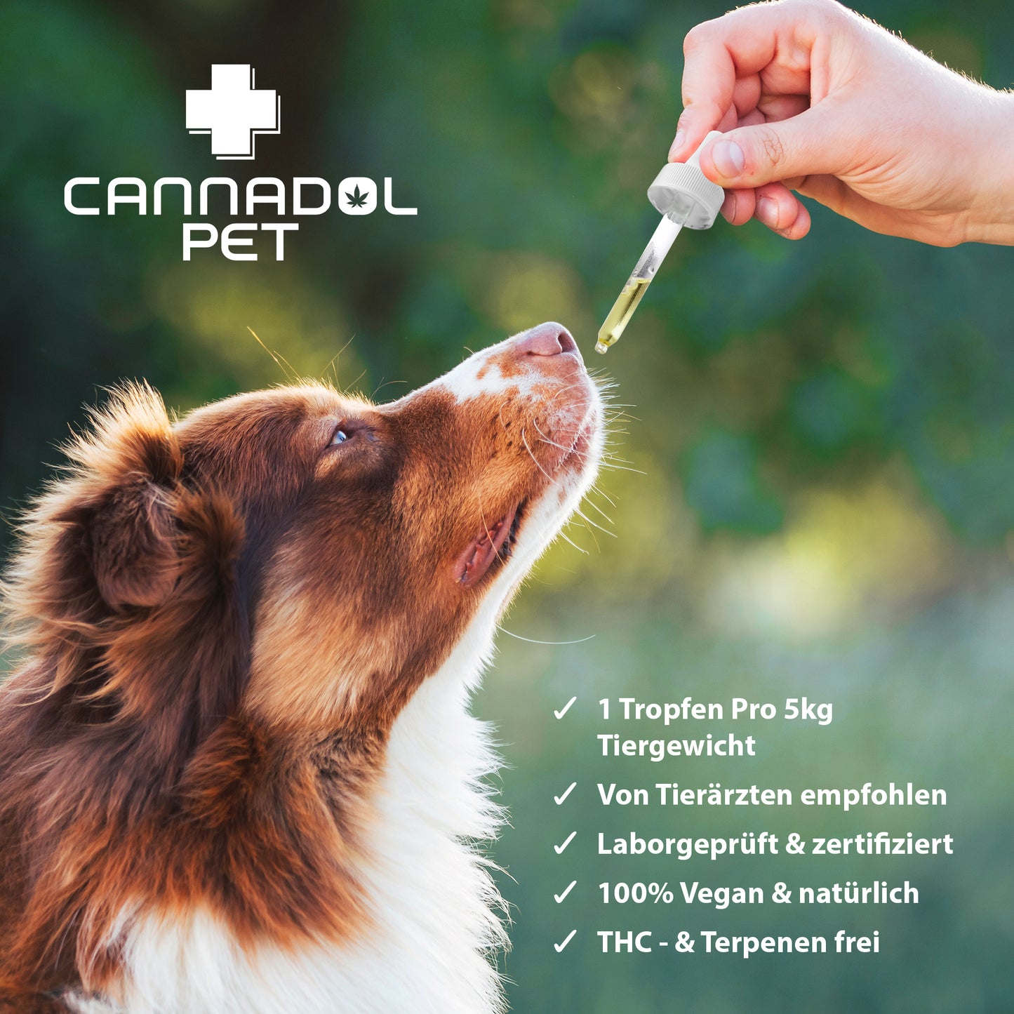 Cannadol Dog – Premium Naturöl 10%